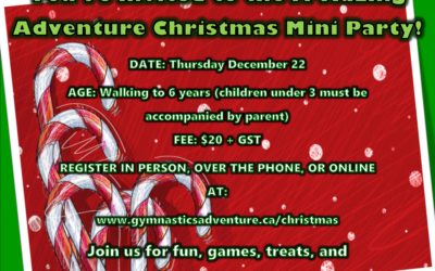 Amazing Adventure Christmas Mini Party