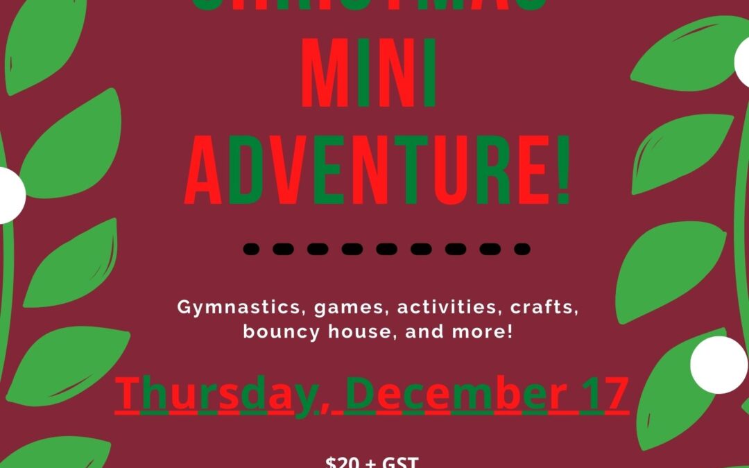 Mini Adventures – Christmas Party